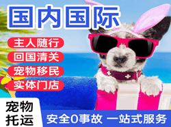 广州机场物流国际宠物托运 【国
